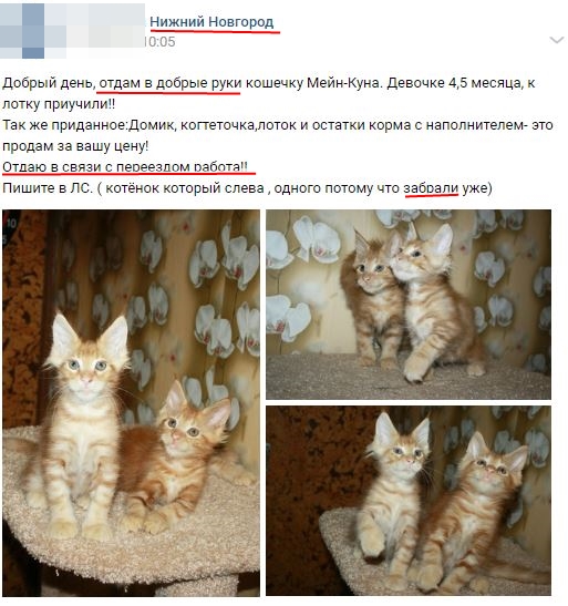 скриншот "ВКонтакте"